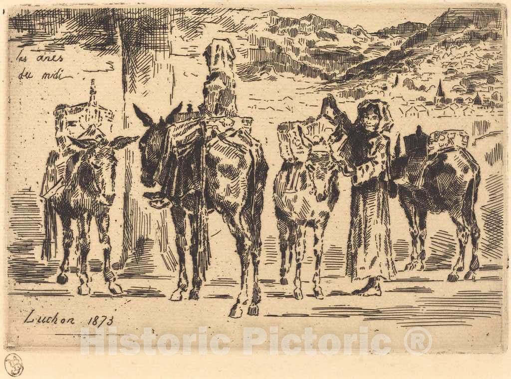 Art Print : FÃ©lix-Hilaire Buhot, Feuilles d'Anes du Midi (Sheet of Donkeys from The South), 1873 - Vintage Wall Art