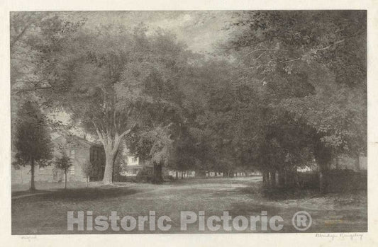 Art Print : Elbridge Kingsley, New England Elms, c. 1889-1890 - Vintage Wall Art