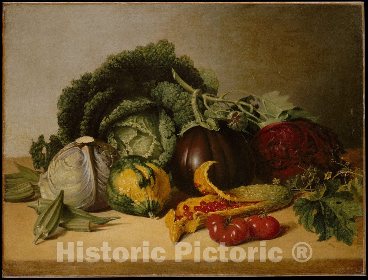 Art Print : James Peale - Still Life: Balsam Apple and Vegetables : Vintage Wall Art