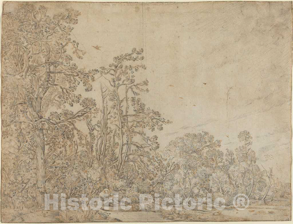 Art Print : Willem Buytewech, Woodland Pond with a Fisherman, c. 1617 - Vintage Wall Art
