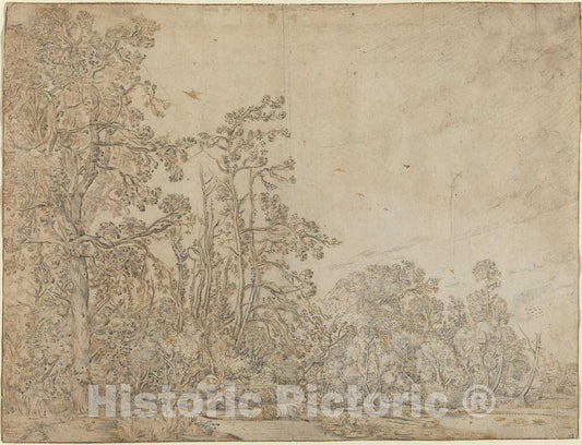 Art Print : Willem Buytewech, Woodland Pond with a Fisherman, c. 1617 - Vintage Wall Art