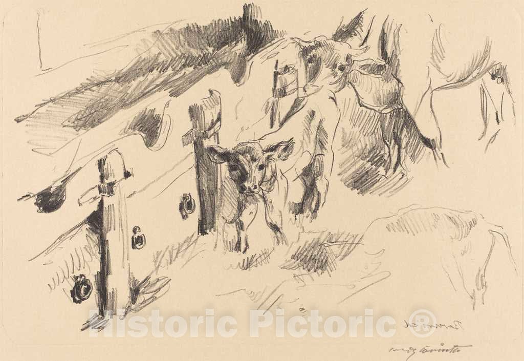 Art Print : Lovis Corinth, Calves (KÃ¤lber), 1912 - Vintage Wall Art