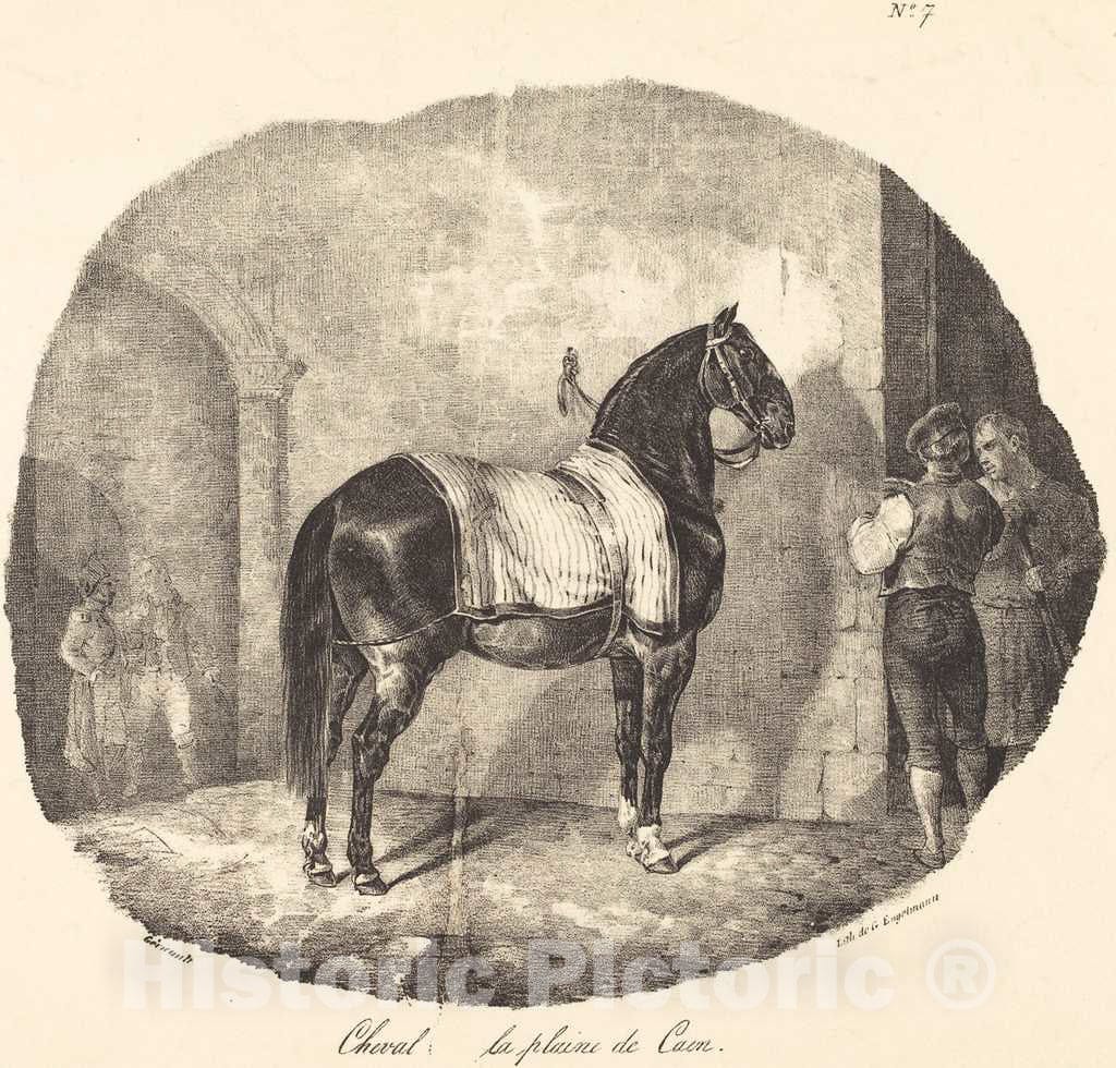 Art Print : ThÃ©odore Gericault, Cheval de la Plaine de Caen, 1822 - Vintage Wall Art