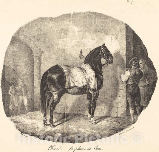 Art Print : ThÃ©odore Gericault, Cheval de la Plaine de Caen, 1822 - Vintage Wall Art