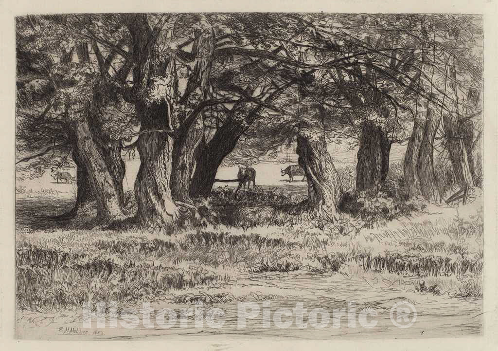 Art Print : Eleazer Hutchinson Miller, A Group of Willows, 1883 - Vintage Wall Art