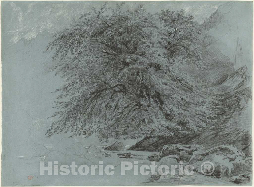 Art Print : Paul Huet, A Wild Beech in Full Leaf, 1858 - Vintage Wall Art