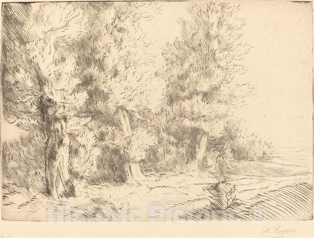 Art Print : Alphonse Legros, in The Forest of Fontainebleau (Dans la foret de Fontainebleau) - Vintage Wall Art