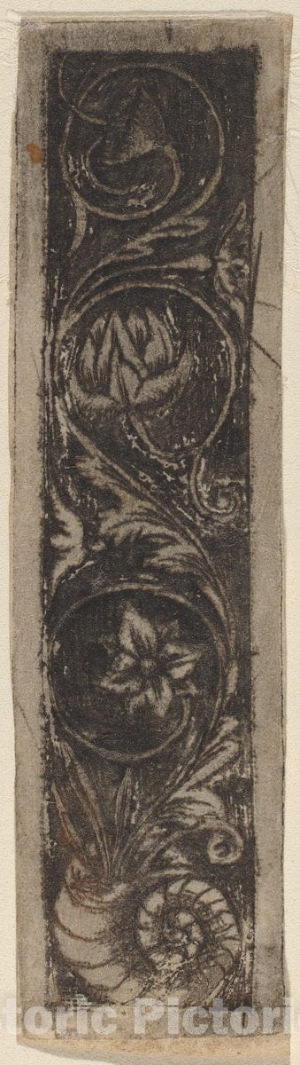 Art Print : Circle of Francesco Francia, Oblong Ornament Panel, c.1495 - Vintage Wall Art