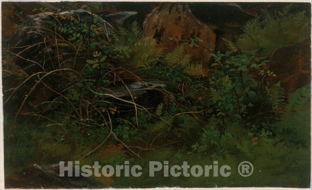 Art Print : William Stanley Haseltine - Study from Nature : Vintage Wall Art