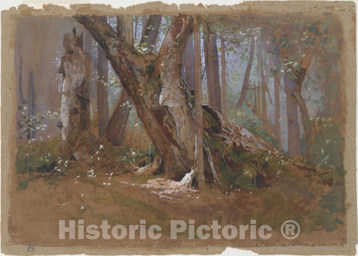 Art Print : Louis Comfort Tiffany - Woodland Interior : Vintage Wall Art