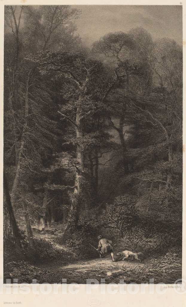 Art Print : Karl Bodmer, IntÃ©rieur de ForÃªt - Vintage Wall Art