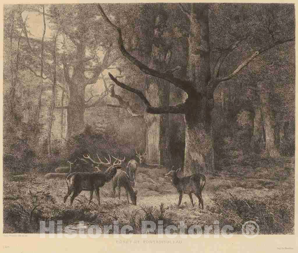 Art Print : Karl Bodmer, ForÃªt de Fontainebleau - Vintage Wall Art