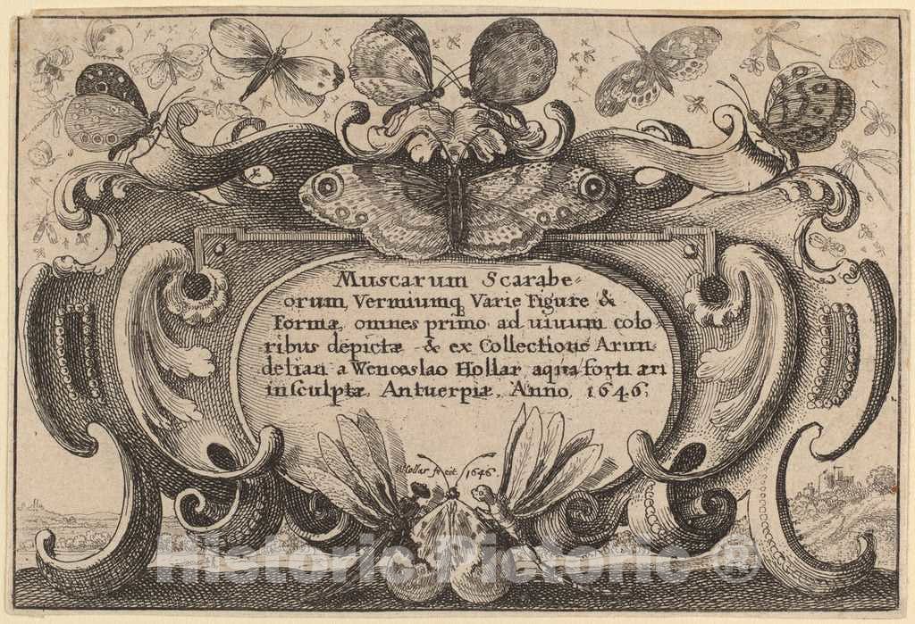 Art Print : Wenceslaus Hollar, Title Page, 1646 - Vintage Wall Art