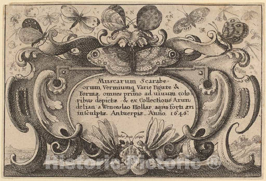 Art Print : Wenceslaus Hollar, Title Page, 1646 - Vintage Wall Art
