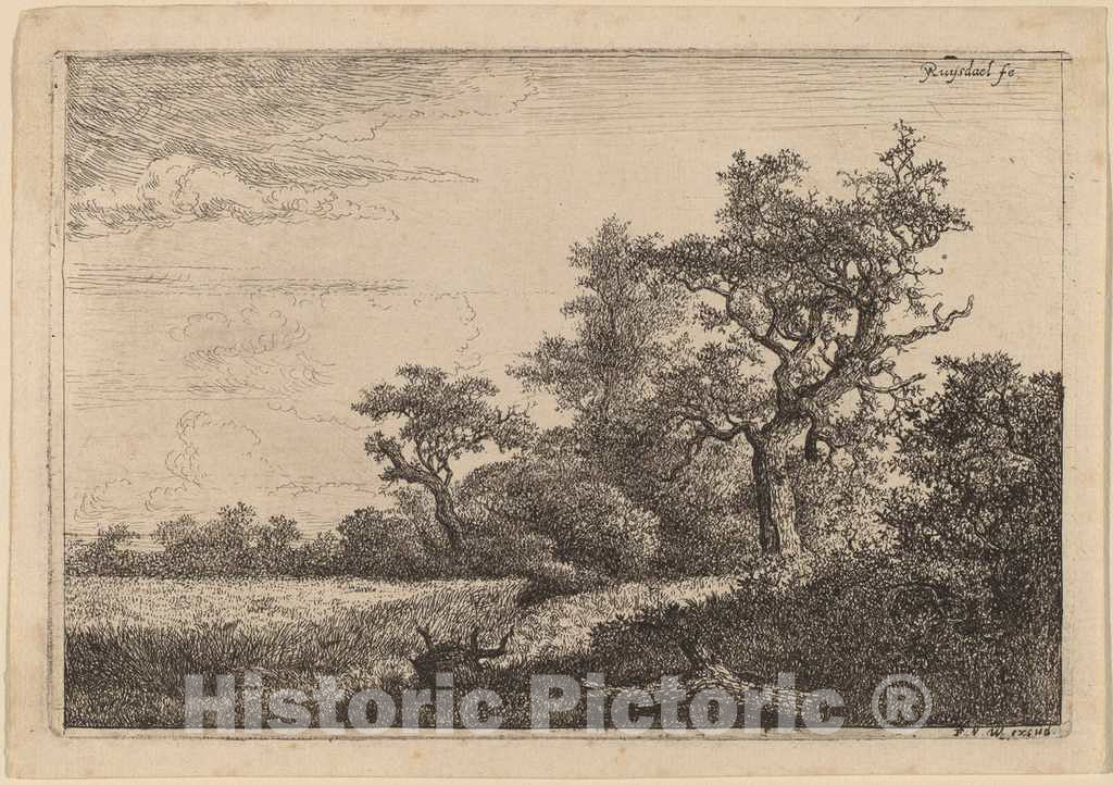 Art Print : Jacob Van Ruisdael, Grain Field at The Edge of a Wood (Corn Field) - Vintage Wall Art