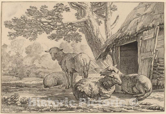 Art Print : Amstel and Brouwer After Dujardin, Sheepcote, 1781 - Vintage Wall Art