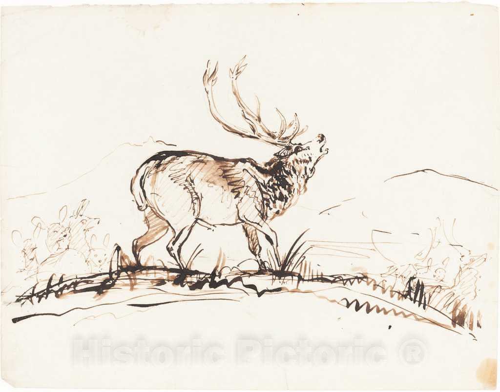 Art Print : Sir Edwin Landseer, A Bellowing Stag, c.1845 - Vintage Wall Art