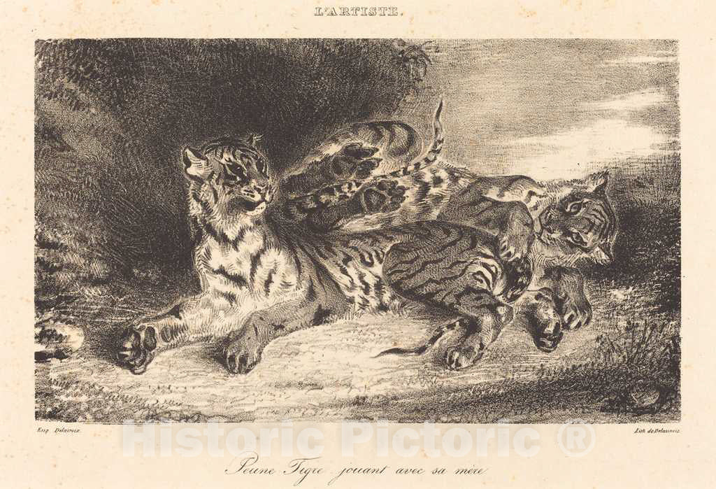 Art Print : EugÃ¨ne Delacroix, Young Tiger Playing with its Mother (Jeune Tigre jouant avec sa mÃ¨re), 1831 - Vintage Wall Art