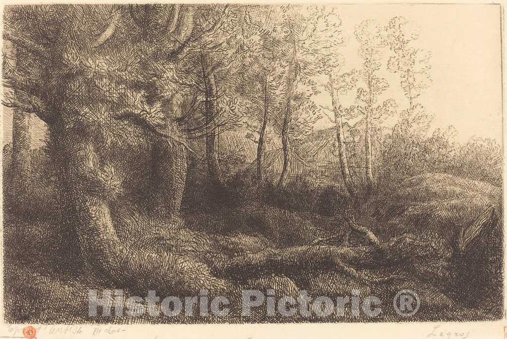 Art Print : Alphonse Legros, in The Forest (Lisiere de foret) - Vintage Wall Art