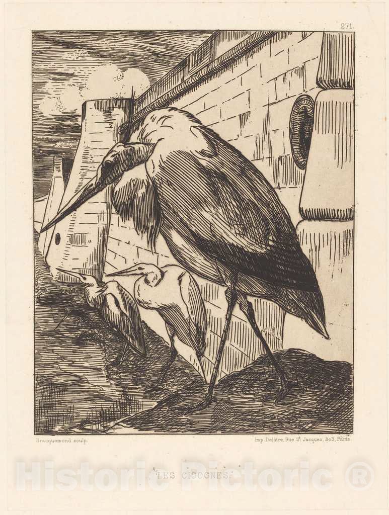 Art Print : FÃ©lix Bracquemond, Les Cigognes (The Storks) - Vintage Wall Art