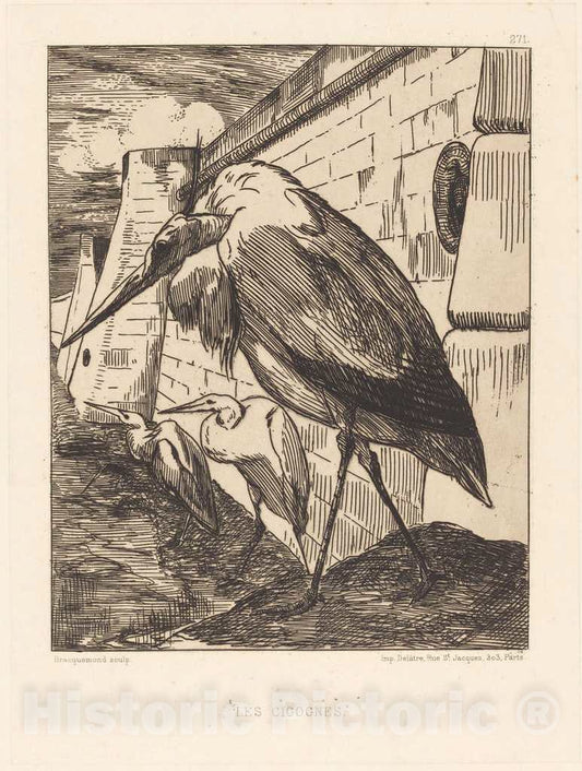 Art Print : FÃ©lix Bracquemond, Les Cigognes (The Storks) - Vintage Wall Art