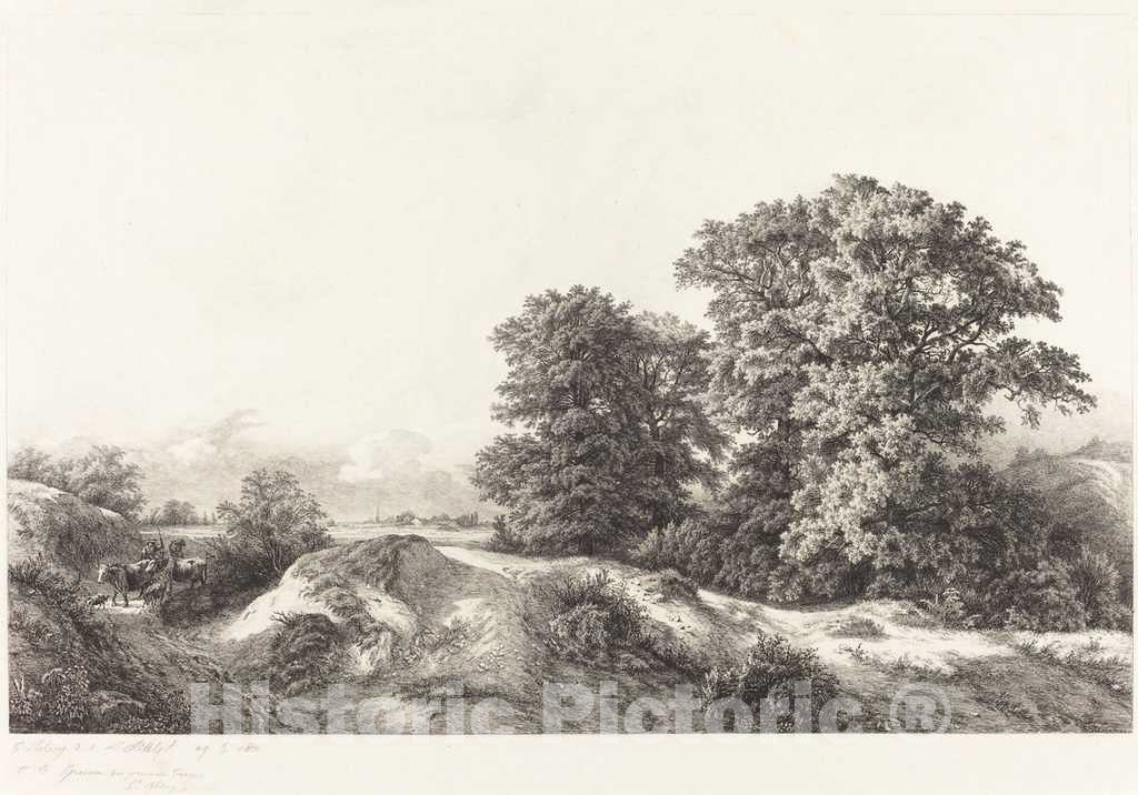 Art Print : EugÃ¨ne BlÃ©ry, Oaks in The Vaux de Cernay, 1840 - Vintage Wall Art