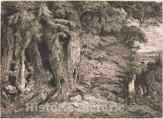Art Print : Paul Huet, Entrance to The Forest, c. 1846 - Vintage Wall Art