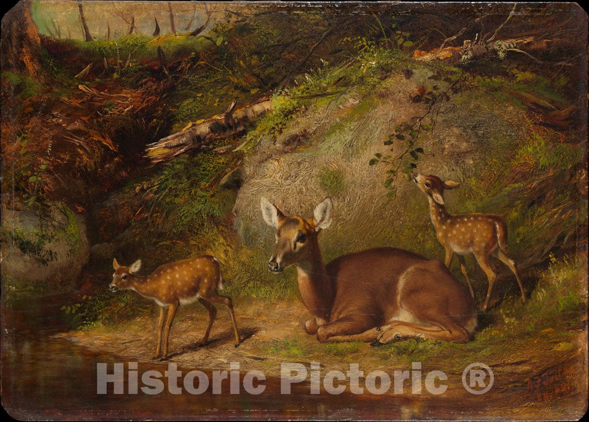 Art Print : Arthur Fitzwilliam Tait - Doe and Two Fawns : Vintage Wall Art