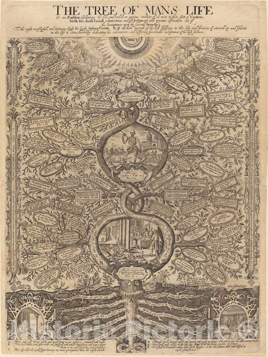 Art Print : John Goddard, The Tree of Man's Life - Vintage Wall Art