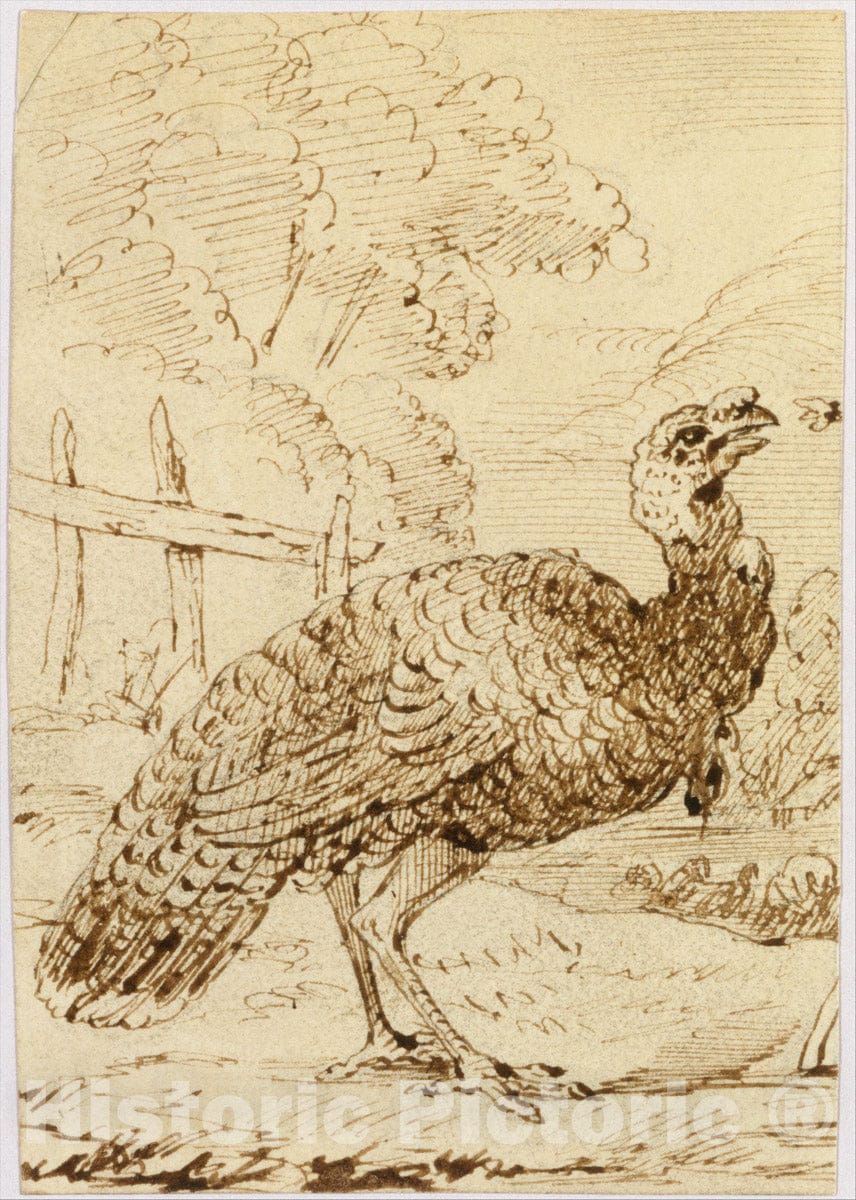 Art Print : Benjamin West - Turkey : Vintage Wall Art