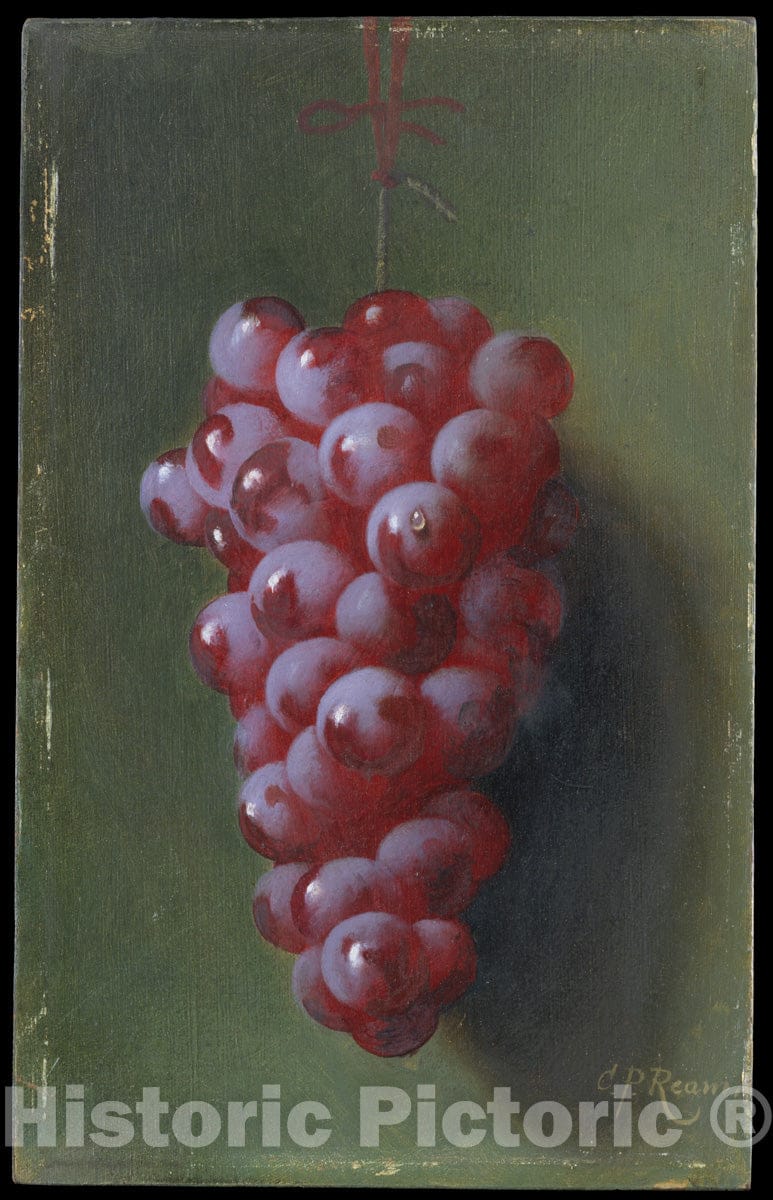 Art Print : Carducius Plantagenet Ream - Still Life with Grapes : Vintage Wall Art