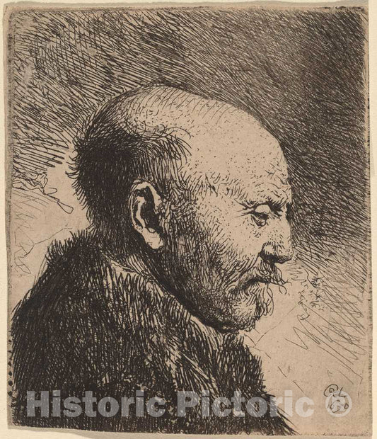 Art Print : Rembrandt, A Bald Man in Profile (The Artist's Father?), 1630 - Vintage Wall Art