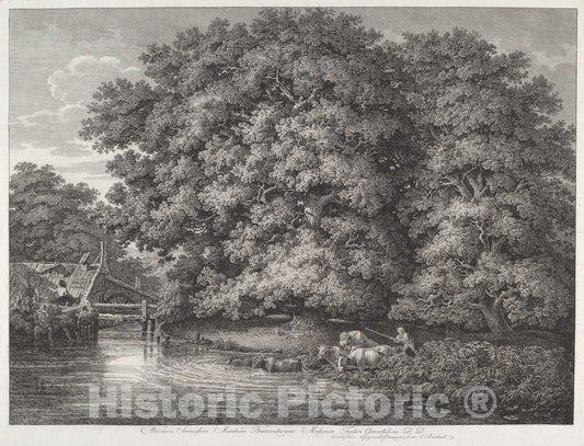Art Print : Johann Christian Reinhart, The Mill at The Great Oaks, 1788 - Vintage Wall Art