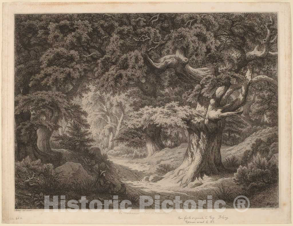 Art Print : EugÃ¨ne BlÃ©ry, Le Charlemagne (forÃªt de fontainebleau), 1861 - Vintage Wall Art