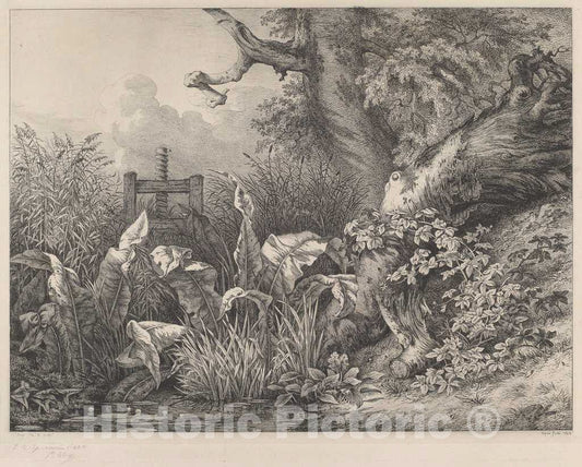 Art Print : EugÃ¨ne BlÃ©ry, Water Dock and Brambles at a Sluice, 1843 - Vintage Wall Art