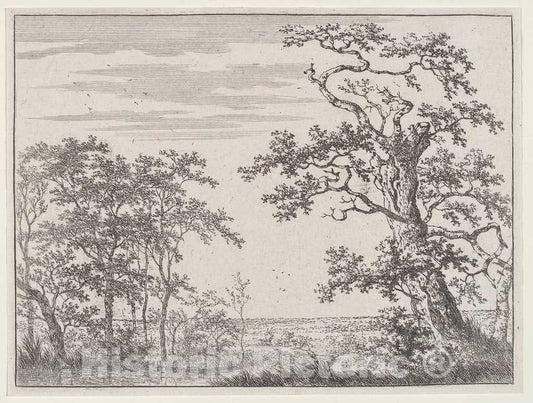 Art Print : Adriaen Hendricks Verboom, Landscape with a Stream and an Ancient Tree, 1660s(?) - Vintage Wall Art