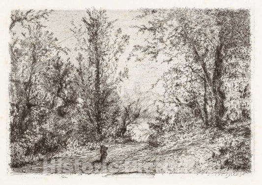 Art Print : Giberto Borromeo, Forest on Lago Maggiore [Foresta sul lago Maggiore], 1870 - Vintage Wall Art