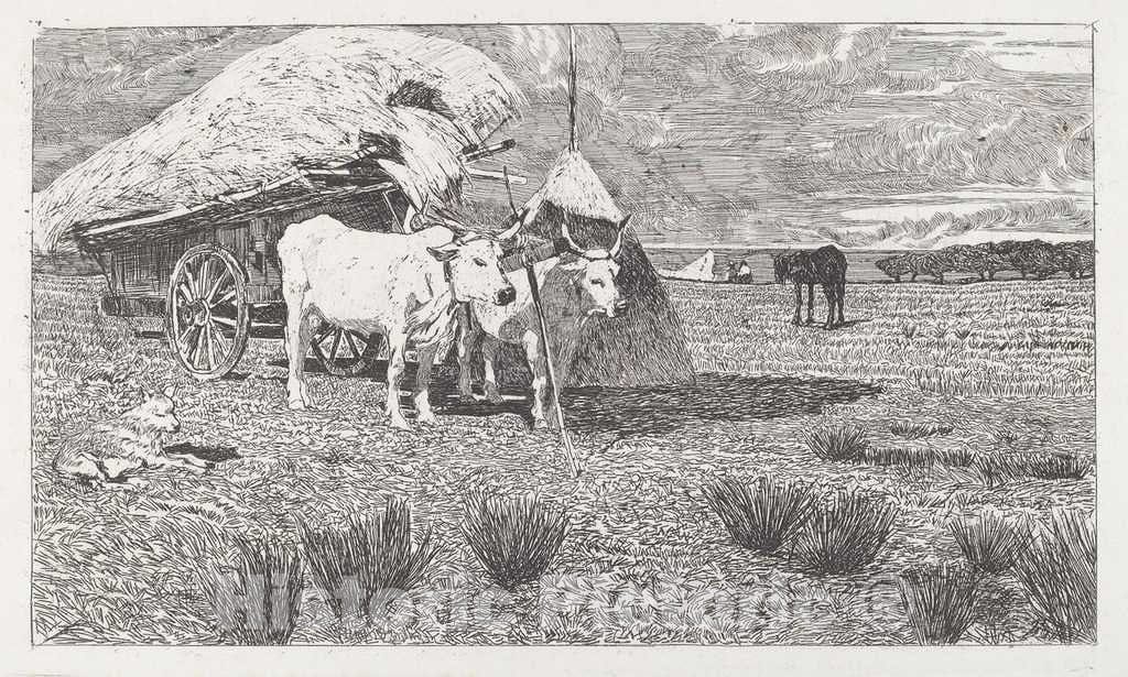 Art Print : Giovanni Fattori, Oxen Yoked to The Cart (Maremma) [Bovi al carro (Maremma)], c.1887 - Vintage Wall Art