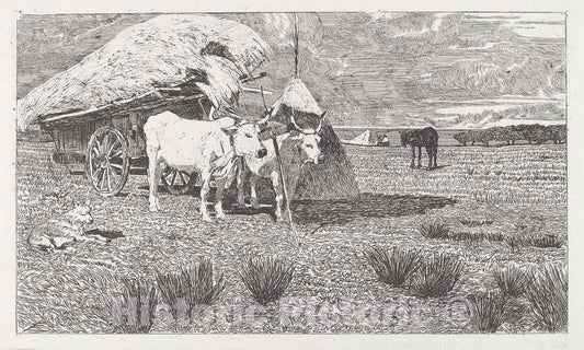 Art Print : Giovanni Fattori, Oxen Yoked to The Cart (Maremma) [Bovi al carro (Maremma)], c.1887 - Vintage Wall Art