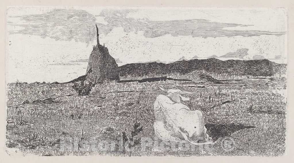 Art Print : Giovanni Fattori, Holy Cow [Pio bove], c.1889 - Vintage Wall Art