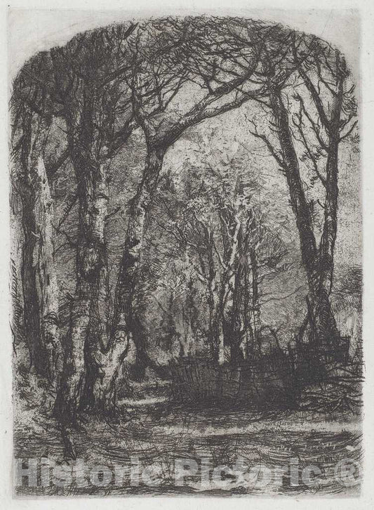 Art Print : MosÃ¨ di GiosuÃ¨ Bianchi, Woods [Bosco], c.1895 - Vintage Wall Art