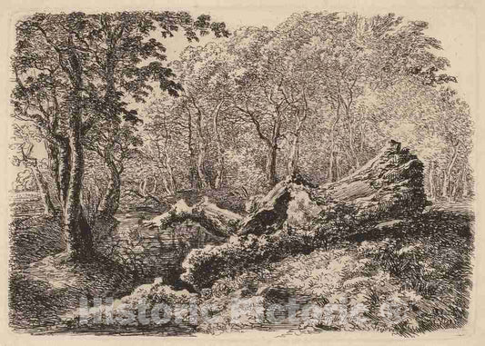 Art Print : Johann Georg von Dillis, Mouldering Tree Trunk, 1794 - Vintage Wall Art