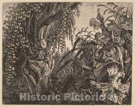 Art Print : Carl Wilhelm Kolbe, A Thicket; a Gnarled Willow Tree at Left, a Thicket of Vegetation at Right, c.1828 - Vintage Wall Art