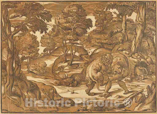 Art Print : NicolÃ² Boldrini, After Raphael, Hercules and The Nemean Lion, c. 1566 - Vintage Wall Art