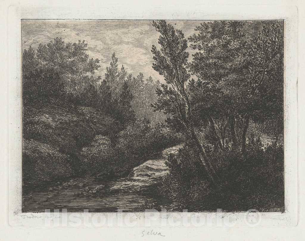 Art Print : Walter Teodoro Bosio, Selva (Woods), 1870 - Vintage Wall Art