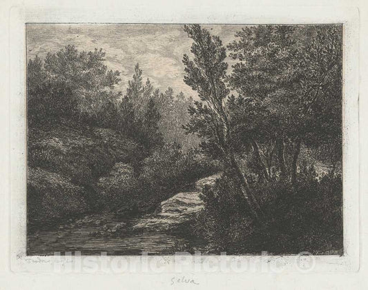 Art Print : Walter Teodoro Bosio, Selva (Woods), 1870 - Vintage Wall Art