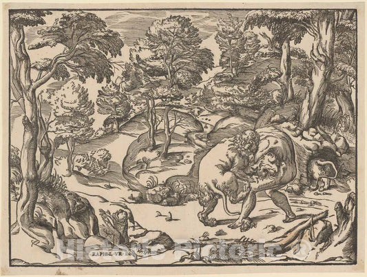 Art Print : NicolÃ² Boldrini, After Raphael, Hercules and The Nemean Lion, c. 1566 - Vintage Wall Art