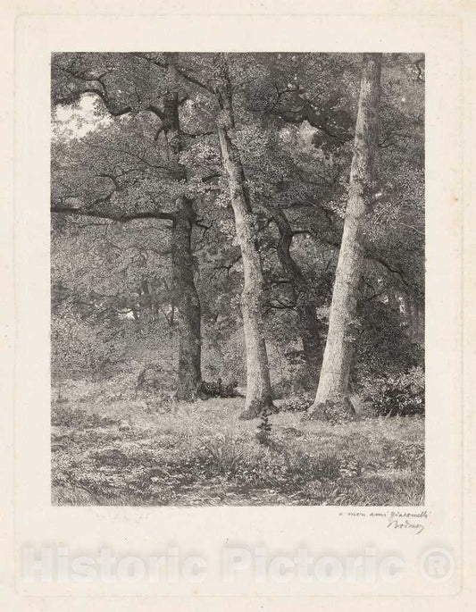 Art Print : Karl Bodmer, A Forest Clearing - Vintage Wall Art