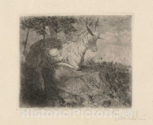 Art Print : Domenico Morelli, The Little Goat (La Capretta), c. 1879 - Vintage Wall Art