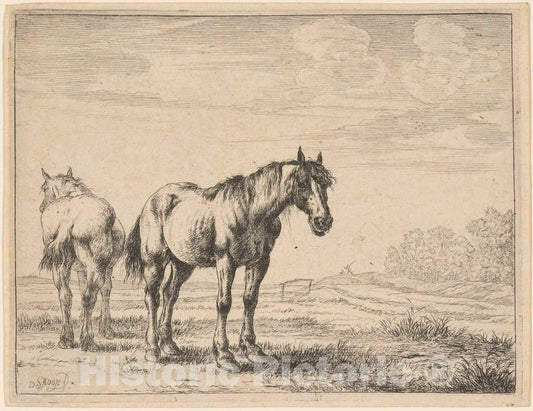 Art Print : Dirck Stoop, Two Plow Horses Standing in a Field, 1651 - Vintage Wall Art